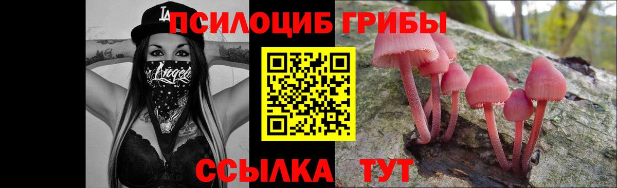 Псилоцибиновые грибы Psilocybe  Псилоцибиновые грибы Psilocybine cubensis  Елабуга  купить   Вход с VPN 